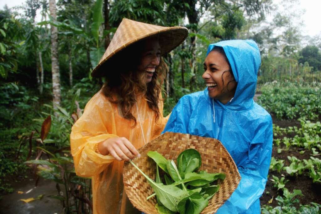 An image from one of our Bali writing workshops that shows two students dressed in raincoats and farm hats laughing at each other as they clutch a basket of vegetables they have picked.